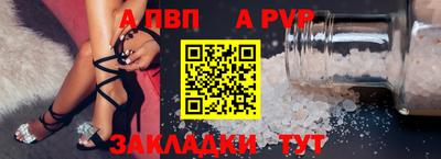ешки Кингисепп