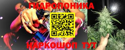 трава Кинель