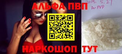 ешки Кингисепп