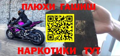 ешки Кингисепп