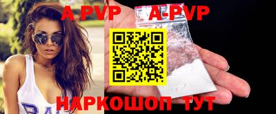 ешки Кингисепп