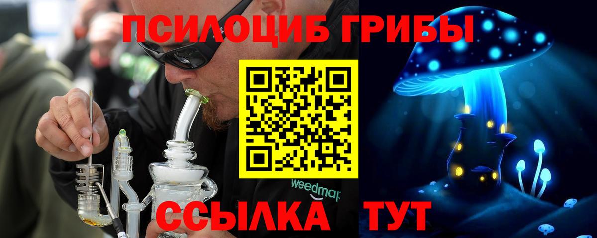 Красный Сулин  Галлюциногенные грибы Psilocybe  Вход с VPN  Галлюциногенные грибы мицелий 